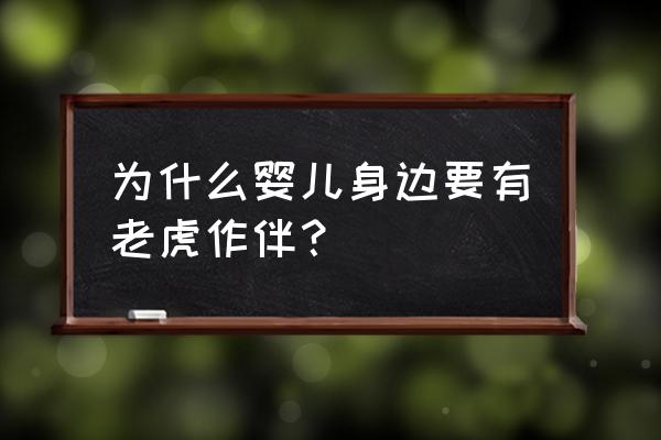 宝宝地带家有帅帅虎 为什么婴儿身边要有老虎作伴？